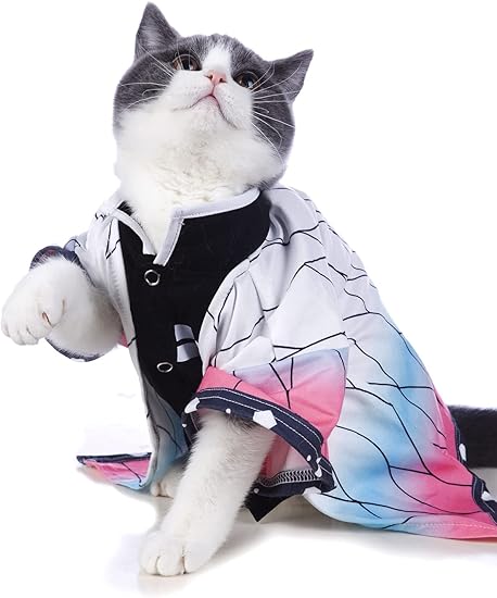 Impoosy Disfraz de gato, ropa divertida para mascotas